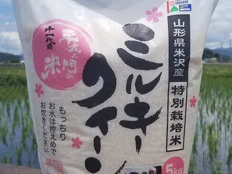 令和５年産　特別栽培米ミルキークイーン　精白米5kg