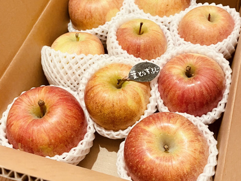 【冬ギフト】 🍎レビュー数1700件突破！！《家庭用》青森完熟葉とらずふじ８〜１２玉(約３kg)🍎ID119812