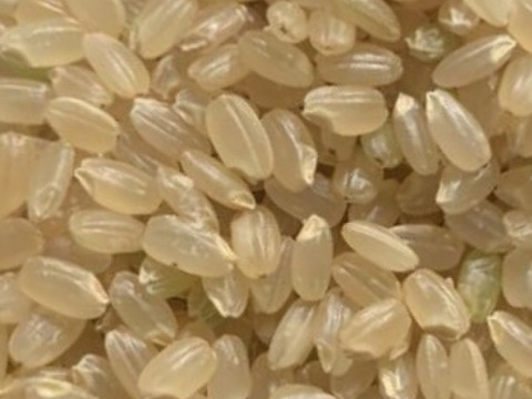 ☆令和7年新米☆ 徳島県奨励品種 あきさかり 30キロ 玄米：徳島