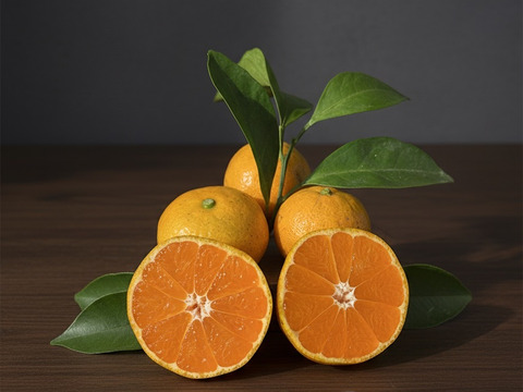 「美味い！」と自信を持って言える有田みかんができました　【訳あり・5kg（箱込）】