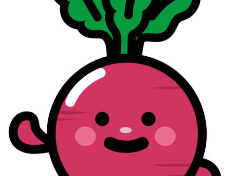 食べる血液！『十文字ビーツ』【３kg】　良質な黒土で元気に育った栄養満点！！（化学肥料、農薬不使用栽培）