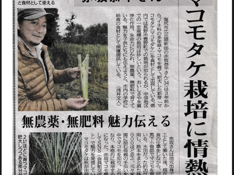 【完全自然栽培】のマコモダケ1キロ