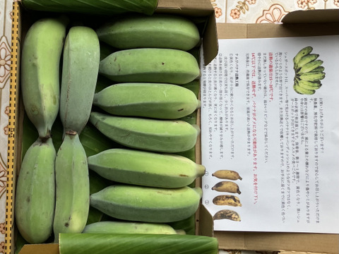 【特別価格！】沖縄産ナムワバナナ１kg