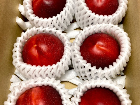 濃厚ネクタリン 黎明 A品小箱(約1㎏)