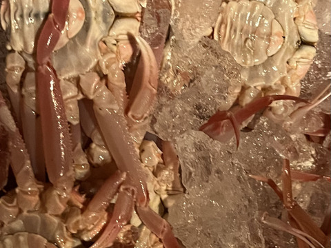 期間限定品　漁師の店　北海道産　ズワイガニセット　1kg