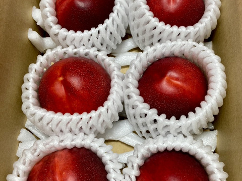 濃厚ネクタリン 黎明 B品(約3㎏)