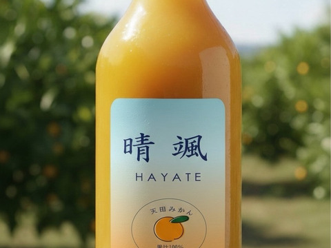 和歌山　天田みかん100％ジュース　1L