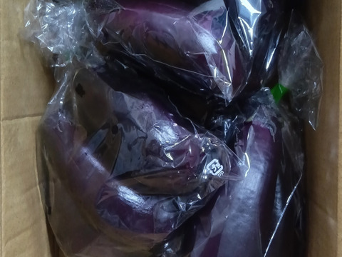 高知なす♪　1kg