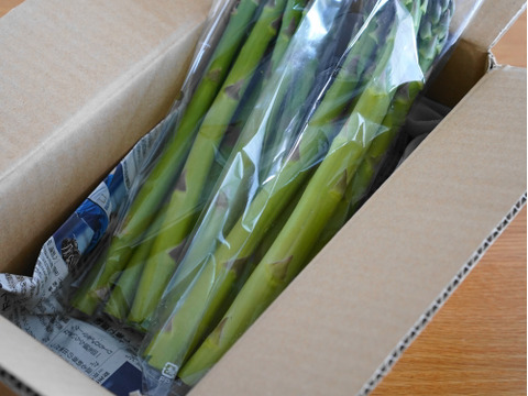 【お試し価格】群馬の高原農家がつくるみずみずしい優しい甘さのアスパラガス（サイズミックス）