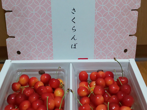 【紅秀峰】🍒１キロ🍒【Ｌサイズ以上】【お中元にもどうぞ】【さくらんぼ】【父の日ギフト】