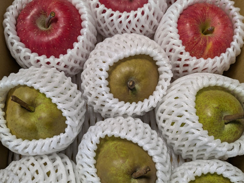 長沼果樹園　中玉ラフランス　・りんご　詰め合わせ　（ラフランス６個・ふじりんご５個）約3㎏　山形県上山市