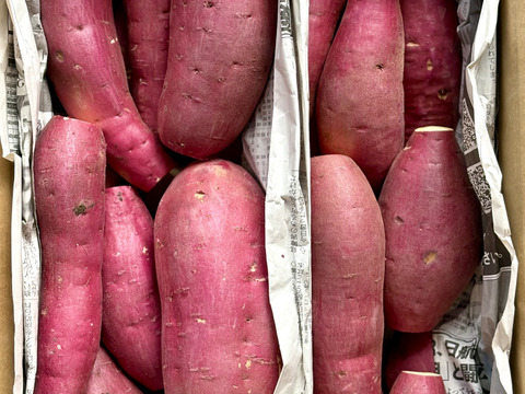 日替わり「さつまいも」2種類セット！色々なサイズ入り  5キロ箱【訳あり】