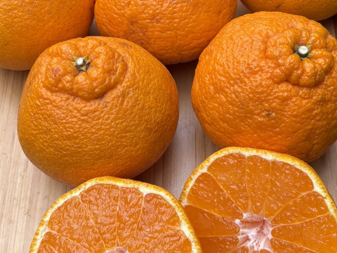 「ノークレーム」ガキデコ10㎏