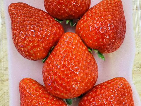 🍓希少な大玉！濃厚な甘さの完熟とちあいか｜栃木県宇都宮市産：栃木県