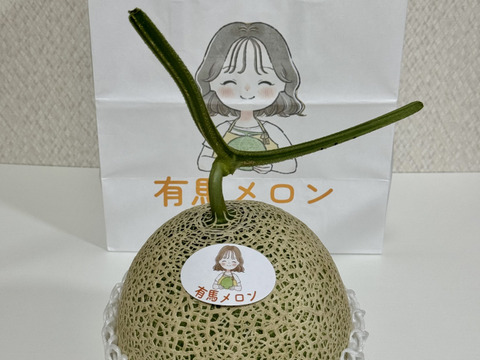 【県知事賞受賞】有馬温泉の麓産 特秀品 赤肉メロン🍈 特大5L 1玉｜土づくりと甘さにこだわった農薬節約栽培🌱 兵庫県産 レノン《7月中旬頃〜発送🚛³₃》【お中元】【夏ギフト】【特秀品】