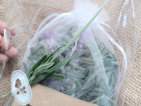 ラベンダー サシェ🌿ラベンダーデンタータのセミドライ（生葉に近いです）葉と花をオーガンジーの袋に詰めました🌿１袋分のお届け🌿ハーブ🌿ポプリなどに☆自然栽培🏣ゆうパック