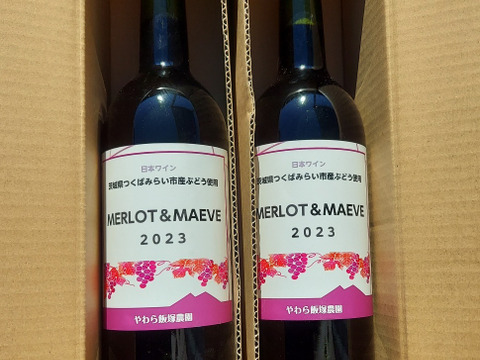 茨城県産のぶどうを使った混醸赤ワイン750ml×2本