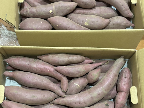 【訳アリ！5kg弱×2箱】ねっとり濃厚、密たっぷり熟成さつまいも🍠「べにはるか」（2S/S/Mサイズ混合お任せセット）