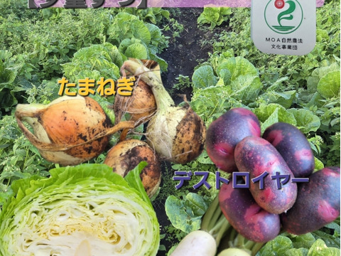 自然栽培野菜セット2.5キロ前後【少量】：青森県産の野菜セット｜食べ
