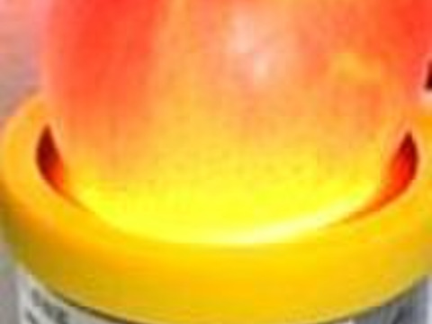 青森県産りんご 「大人気」「１０名様限定販売」プレミアム葉とらずさんふじ自然味５Kg糖度13%以上保証