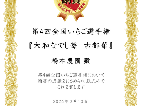 🏆全国いちご選手権銅賞　濃厚な品のある甘み　古都華　270g×2パック いちご　奈良県　ことか　橋本農園　【いちご】
