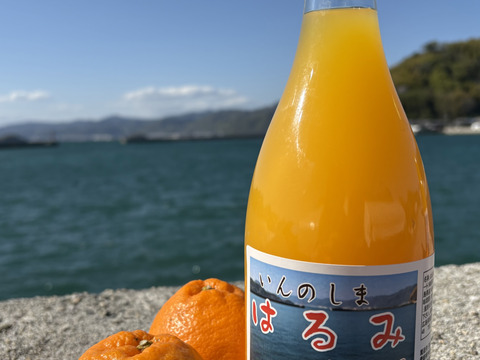 【無添加・果汁100%】はるみジュース 4本セット