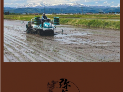 【玄米】雪蔵銀ぴか米（コシヒカリ）10㎏