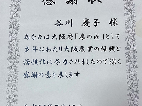 家庭用デラウェア・約1.2kg