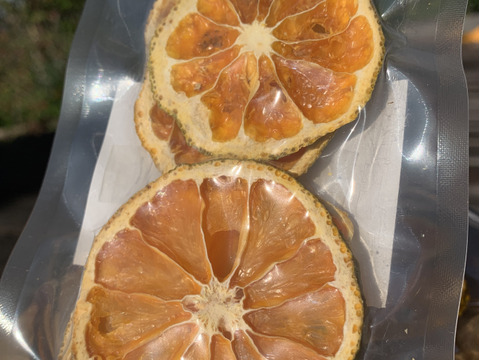 【訳あり】パリパリ！ドライみかん 60g〈農薬・化学肥料不使用〉