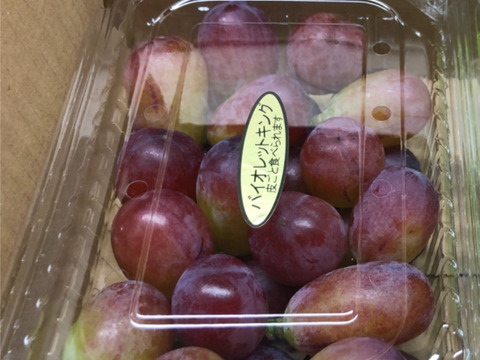 「数量限定」 粒ぷりっぷり食感！果汁が溢れ出るバイオレットキング 800g クイーンマスカット100g程度おまけ有　　少量食べ比べクール便