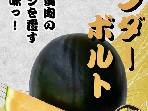 予約販売！6月23日〜発送贈答用黄果肉西瓜サンダーボルト2Lサイズ1玉入り