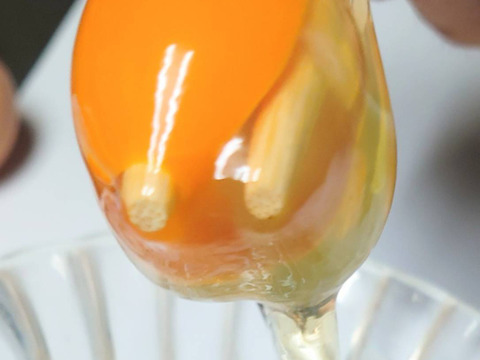 出荷日当日の朝採り新鮮お届け致します☆　平飼い濃厚卵
純国産赤鶏あずさ:岡崎おうはん各15個計30個割れ保証付