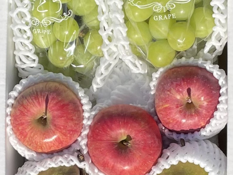 🟢不揃いでも味は極上！シャインマスカット🍎完熟ふじりんご🍐ラ・フランス　詰め合わせセット
