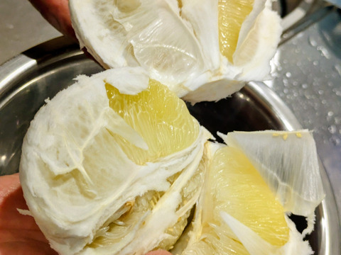 【露地もの食べ比べ】小ぶり晩白柚1個＆璃の香レモン1個