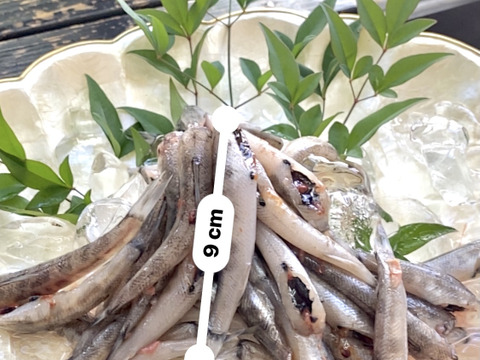 匠のボッチ揚げ500g（メヒカリ唐揚げ）