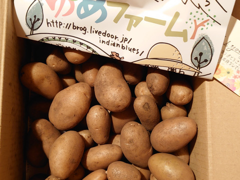 皮ごとでも食べられる！訳あり品【農薬・化学肥料不使用】MOA自然農法で育ったミニじゃがいも 2kg