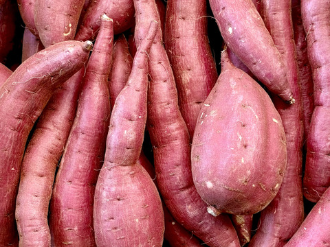 訳ありでもシットリ甘い！「シルクスイート」色々なサイズ入り  5キロ箱