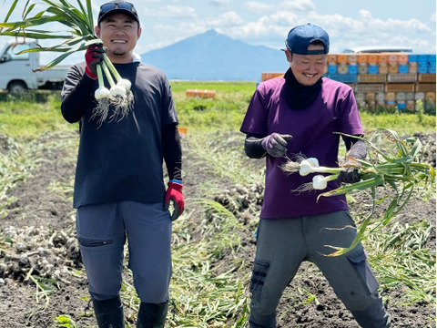 【こだわり栽培法】青森県産ニンニク（Ｌサイズ１kg）