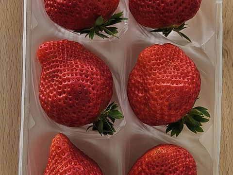 【糖度15度オーバー】一万人が虜になった究極の匠の叡智『八女津姫ブランドいちご』お試しキャンペーン約250g【冬ギフト】【3月中旬予約】