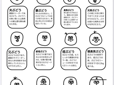 訳ありB品】サンシャインレッド（色薄め・房形不揃い・味は正規