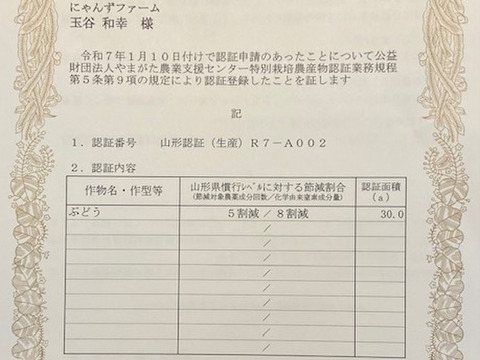 食べ比べ♡マイハート♡バイオレットキング♡つぶつぶパック1キロ♡山形県産ぶどう