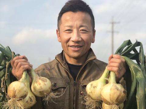 訳あり まんまる 長期保存の常備向き 武ちゃん農場の玉ねぎ10kg 愛知県産 食べチョク 農家 漁師の産直ネット通販 旬の食材を生産者直送 訳あり まんまる 長期保存の常備向き 武ちゃん農場の玉ねぎ10kg 愛知県産 食べチョク 農家 漁師の産直ネット通販 旬の食材を生産者直送