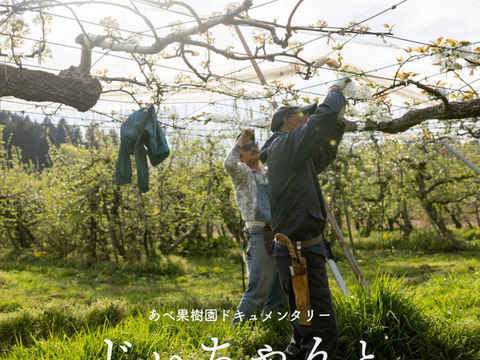 今年イチオシうんめぇ梨🍐樹上完熟！！梨(豊水) 福島県白河梨　2.5キロ