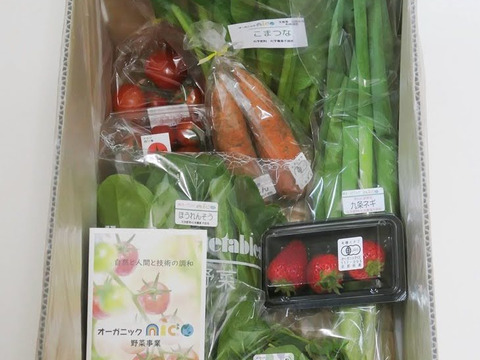 nico 旬の野菜セット　5~8種類