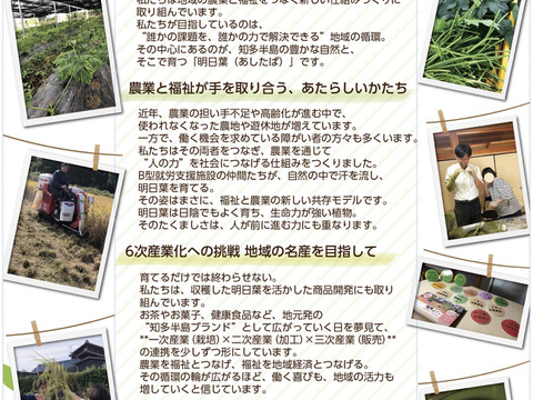 明日葉茶　40g  ブレンド　葉っぱ50%➕茎50%