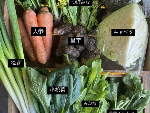 【数量限定】最旬の1品おまけ付！農薬不使用野菜セット(9品)/レシピ付き