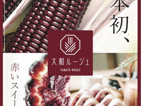 宝石のように赤く光輝くスイートコーン！大和ルージュ！2kg