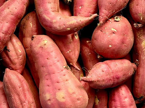 日替わり「さつまいも」2種類セット！色々なサイズ入り  5キロ箱【訳あり】