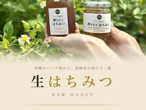 【ギフト用】沖縄県産 生はちみつ 110g×2本｜RAW HONEY 非加熱・無添加・ギフトボックス入り