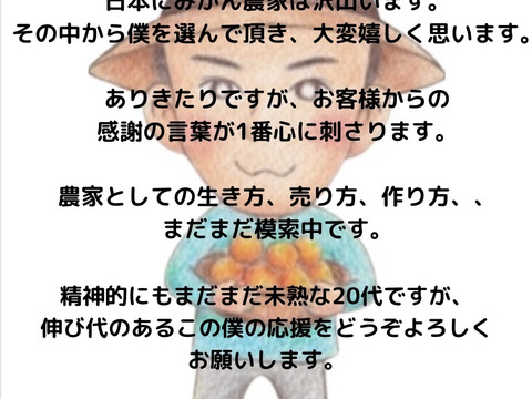 【大人気】嫌いな人はいません！ちびみかん　10キロ